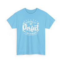 Nobody is Perfect – I Am Nobody, Funny T-Shirt