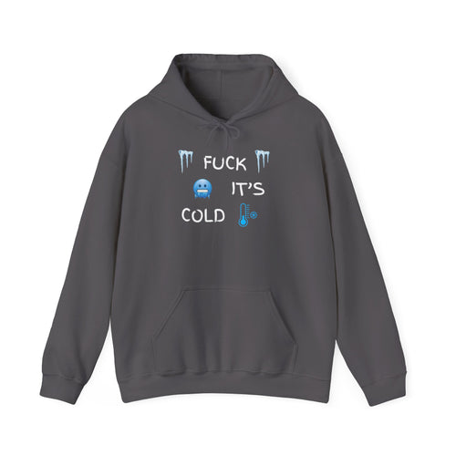 Fuck It’s Cold Hoodie – Funny Winter Sweatshirt