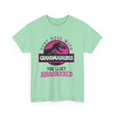 Don't Mess with Grandmasaurus T-Shirt | Funny Dinosaur Tee