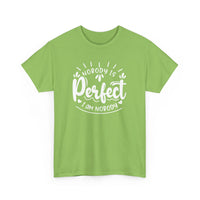 Nobody is Perfect – I Am Nobody, Funny T-Shirt