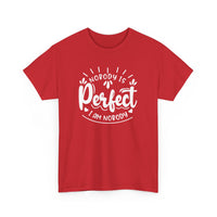 Nobody is Perfect – I Am Nobody, Funny T-Shirt