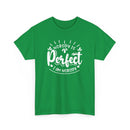 Nobody is Perfect – I Am Nobody, Funny T-Shirt